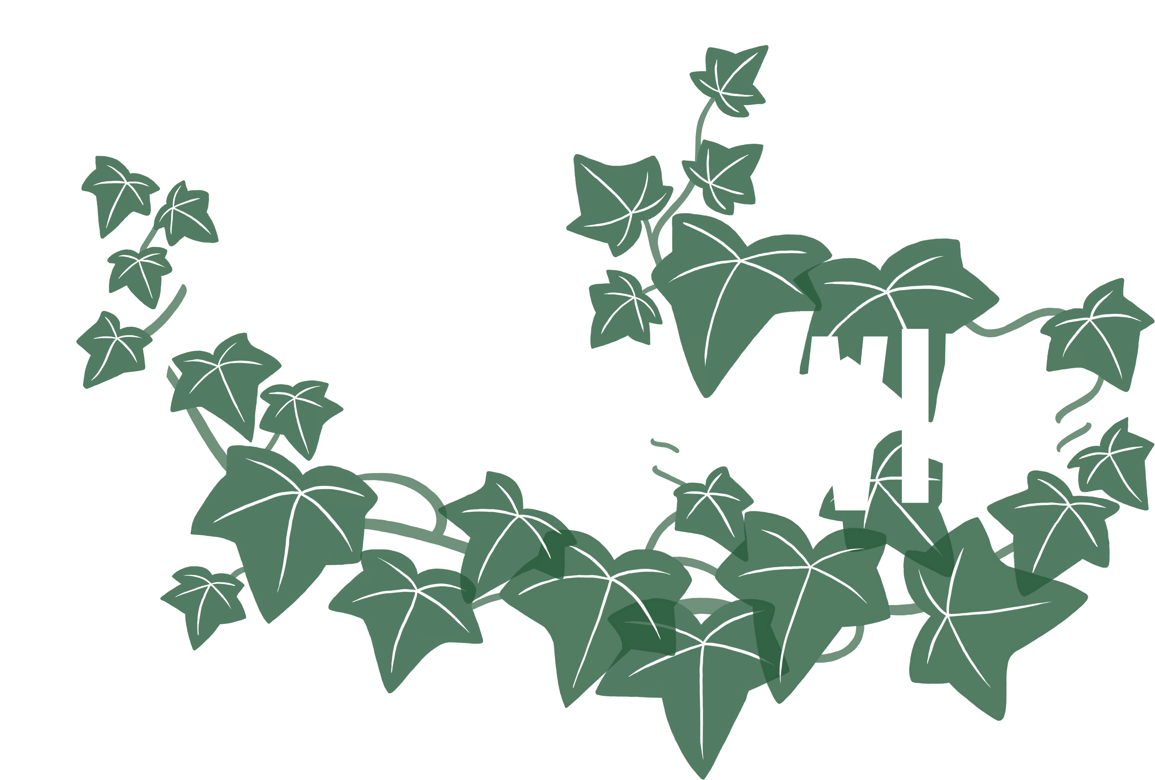 Grow Wild logo