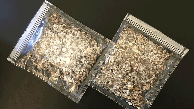 two plastic packets with brown grain inside covered in white fluff