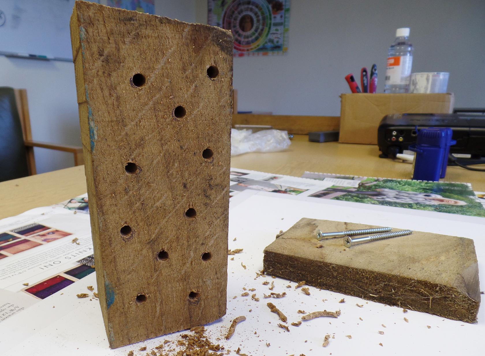 Bee house with drilled holes