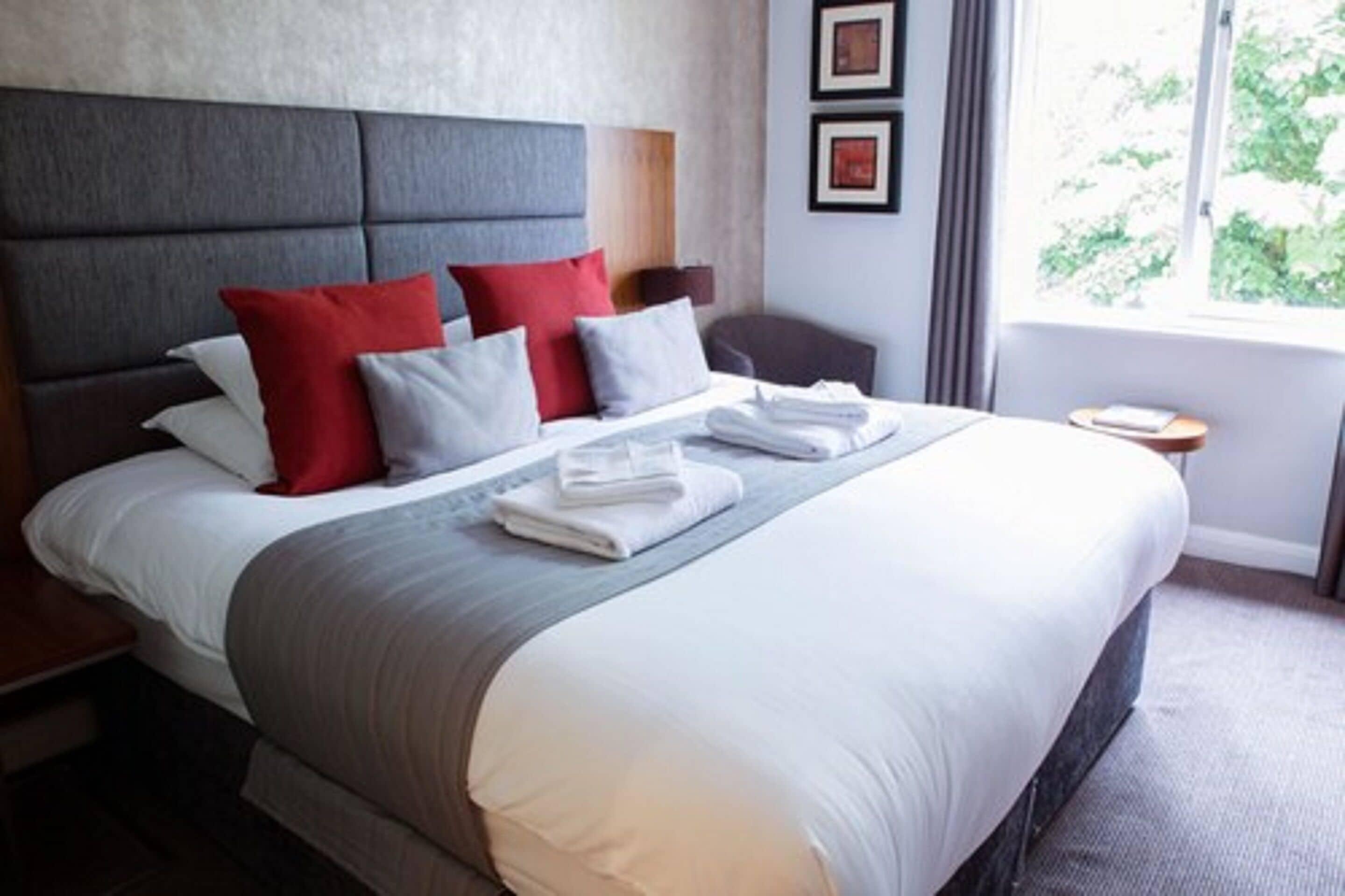 4 Budget Hotels Near London Zoo Worth Booking