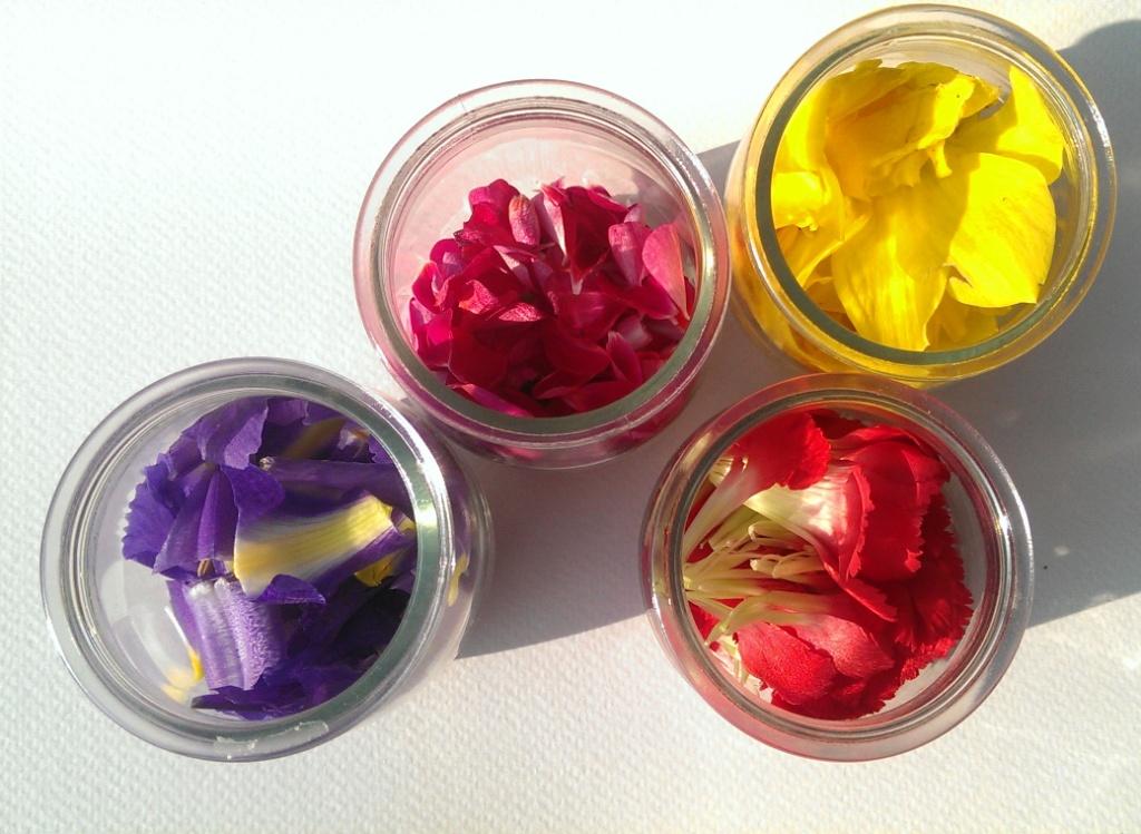 Wild flower ink Wild flower ink