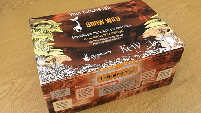 A Grow Wild fungus lab sits on a wooden table